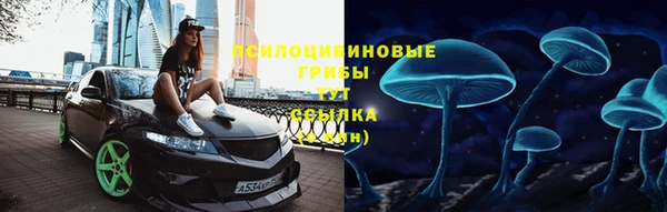 мдпв Беломорск
