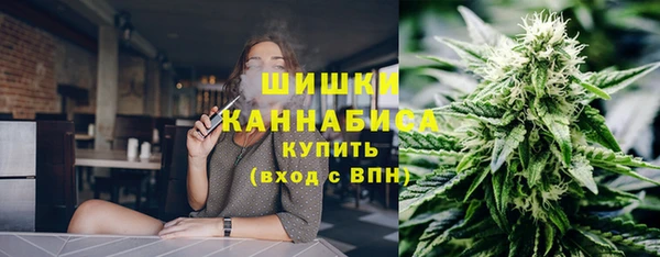 PSILOCYBIN Тайга