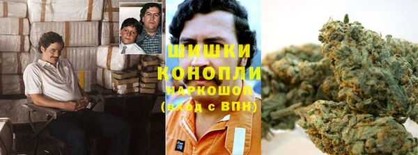бутират Белокуриха