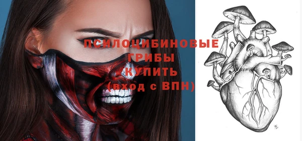 бутират Белокуриха
