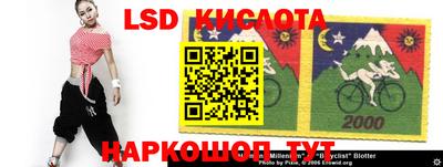прущие грибы Аргун