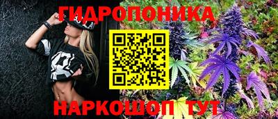 молекула духа Апрелевка