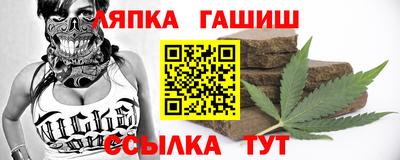 прущие грибы Аргун