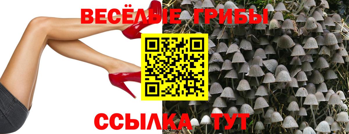 Псилоцибиновые грибы Magic Shrooms Верхний Уфалей