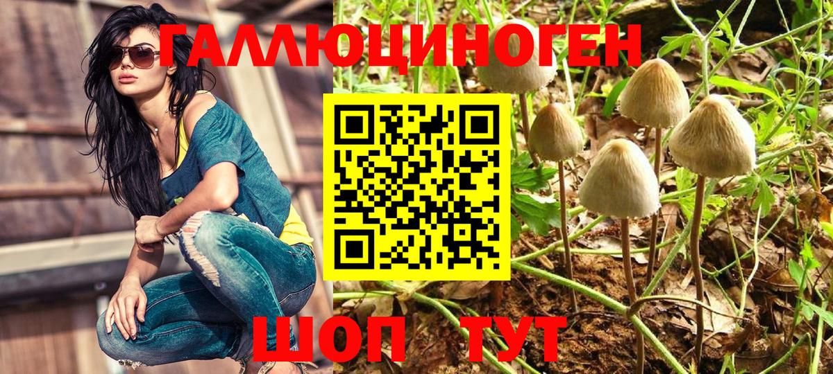 Верхний Уфалей  Псилоцибиновые грибы мицелий  Вход с VPN 